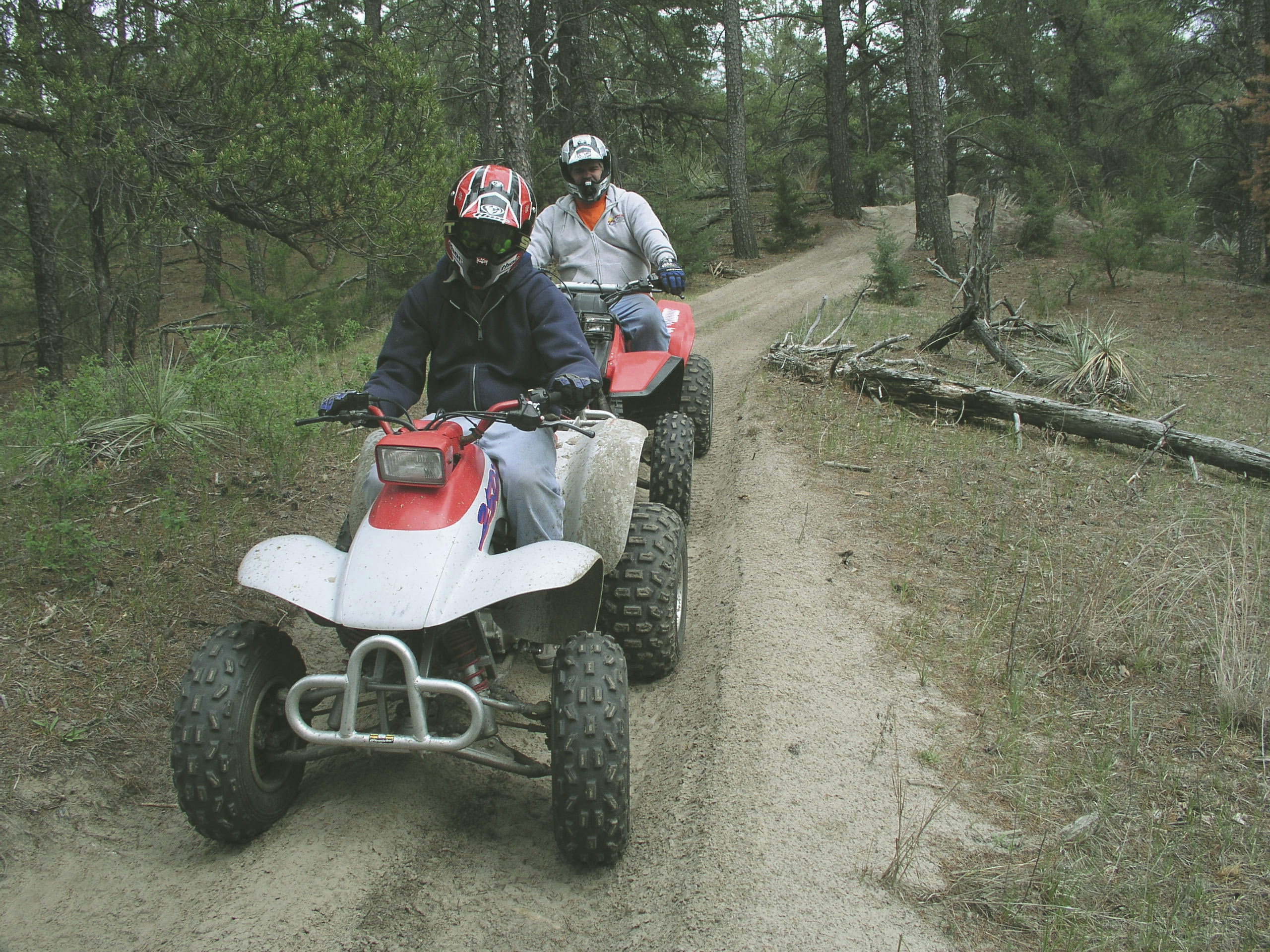 ATV Forest Trails